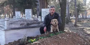 FOTO:Kisah Anjing Setia, Tak Mau Pergi Meski Majikannya Meninggal