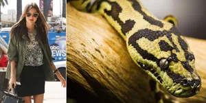 Ketika Ular Piton Jadi Tren Busana Artis Hollywood