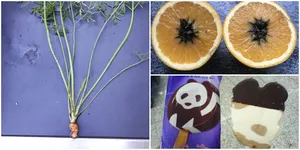 Nggak Cuma Gebetan, Makanan Juga Bisa Kasih Harapan Palsu!