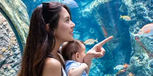Potret Aurelie Moeremans Jalan-Jalan Bareng Tommy, Seru Lihat Ikan