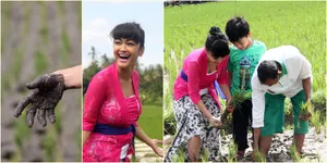Serunya Saat Julia Perez Turun ke Sawah dan Menanam Padi