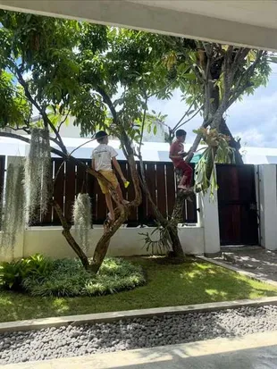 8 Potret Rumah Zaskia Adya Mecca di Yogyakarta, Vibesnya Nyaman dan Tenang