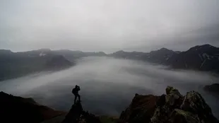 Sinopsis A MAN WHO TAKES PICTURES OF FLOWERS, Film yang Tayang di BIFF 2025