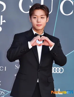 Deretan Aktor Ganteng di Red Carpet 62nd Baeksang Arts Awards 2026