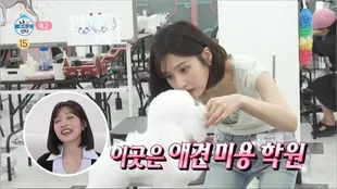 Joy Red Velvet Ambil Sertifikasi Grooming Hewan, Belajar Penuh Semangat