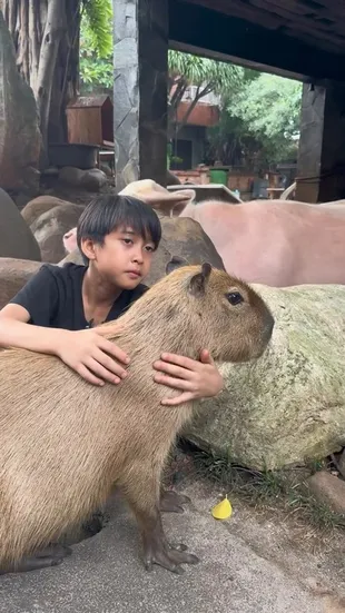 Potret Djalu Anak Irfan Hakim dan Kapibara Barunya, Nggak Mau Lepas Bak Bestie!