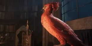 Ranking Makhluk Terkuat di Dunia 'HARRY POTTER' Berdasarkan Kekuatan Nyata di Film