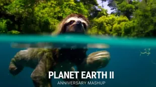 Rekomendasi Film Dokumenter Alam dan Fantasi yang Memanjakan Mata, Punya Sinematografi Super Estetik 