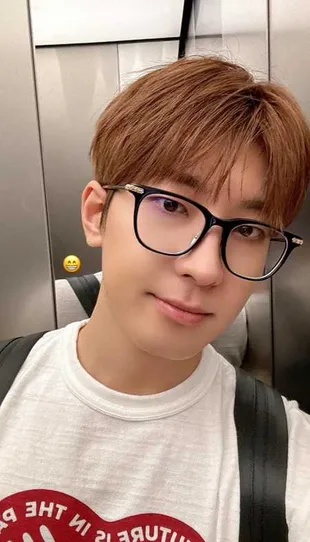 Wonwoo Seventeen dan Pesona Boyfriendable-nya