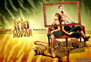 Trio Macan