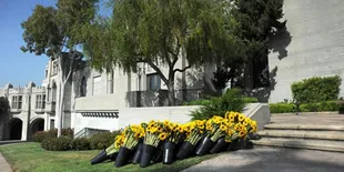 Makam Michael Jackson Dipenuhi Bunga Matahari