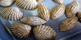 Kue Putu Kacang Hijau Laris Dipesan