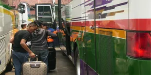 Tiket Bus Pekanbaru Ke Jawa Habis