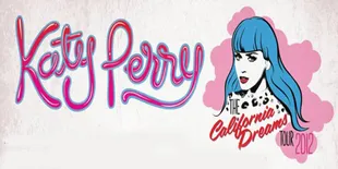 Promotor Beri Kenyamanan Untuk Penonton Katy Perry