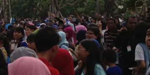 Tak Terima, Ratusan Fans Super Junior Yang Ditipu Unjuk Rasa