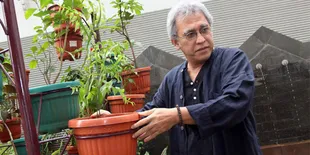 Iwan Fals Dkk Akan Tanam Ribuan Pohon di Boyolali