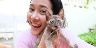 10 Bukti Kucing Benci Diajak Selfie, Hasilnya Bikin Ngakak!