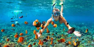 10 Destinasi Snorkeling Terbaik di Indonesia