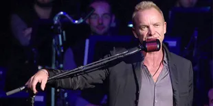 10 Fakta Tentang Sting, The Demolition Man