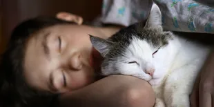 10 Foto Kucing Lucu Saat Diajak Tidur Bareng Pemiliknya, Bikin Gemas Walau Harus Banyak Mengalah