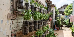 12 Tanaman Sayur yang Bisa Tumbuh di Botol Bekas, Hemat Tempat dan Mudah Dirawat