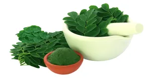 3 Metode Praktis Merebus Daun Kelor untuk Menurunkan Kolesterol dan Asam Urat dengan Mudah!