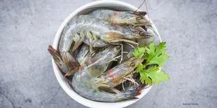 3 Resep Gulai Udang Lezat yang Pas untuk Makan Keluarga yang Hangat!