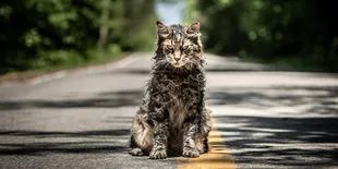 30 Tahun Berlalu, Film 'PET SEMATARY' Karya Stephen King Resmi Dibuat Remake
