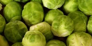 4 Kreasi Sayur yang Wajib Dihindari oleh Penderita Kolesterol