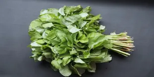 4 Resep Sayur Bening Bayam yang Lezat, Tips Praktis untuk Masakan Keluarga Indonesia!