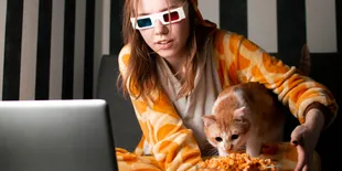5 Film Pilihan untuk Para Pecinta Kucing, Favoritmu yang Mana Nih?