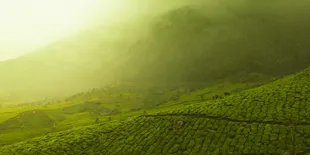 5 Rekomendasi Wisata Murah di Majalengka untuk Isi Liburan Paskah, Destinasi Terbaik Cocok Dieksplorasi