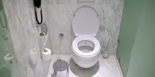 5 Risiko Kesehatan Akibat Kebiasaan Main Ponsel di Toilet, Apa yang Perlu Anda Ketahui?