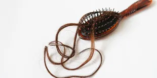 6 Cara Membuat Masker Rambut Secara Alami