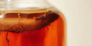 6 Keajaiban Teh Kombucha, Solusi Alami untuk Menurunkan Kolesterol