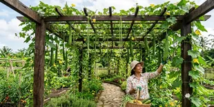 7 Ide Pergola dengan Tanaman Sayur Rambat, Halaman Lebih Teduh Sekaligus Bisa Dipanen