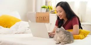 7 Ras Kucing Lucu yang Cocok Jadi &#8216;Teman Hidup&#8217; Biar Nggak Kesepian di Kos-Kosan