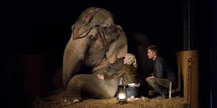 7 Rekomendasi Film Bertema Gajah dan Ikatan dengan Manusia Paling Mengharukan