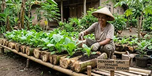 8 Cara Menanam Sawi dengan Gedebong Pisang, Solusi Berkebun Hemat Tempat dan Biaya