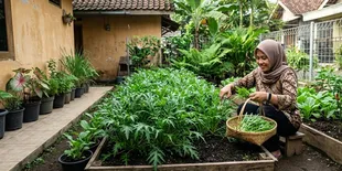 8 Tips Menanam Sawi Jepang Mizuna untuk Panen Daun Muda, Rahasia Berkebun Sayur Anti Gagal untuk Pemula