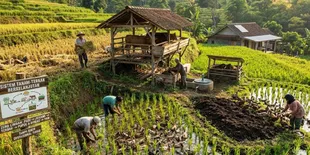 9 Cara Menerapkan Sistem Tanam dan Ternak Terpadu agar Hemat Biaya dan Hasil Maksimal