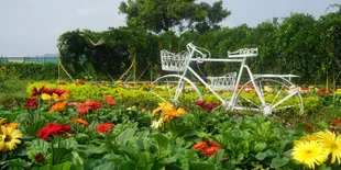 9 Destinasi Liburan Halal ala Taiwan Leisure Farm