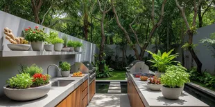 9 Tanaman Rempah Berbunga Cantik untuk Memperindah Dapur Outdoor,  Jadi Estetik dan Fungsional