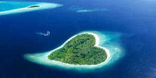 Abadikan Cintamu di Tupai!