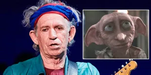 Ada Peri Rumah Dobby di Dunia Nyata?