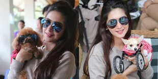 Aih, Anjing Nabila Syakieb Fashionable Dengan Kacamata Hitam!