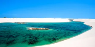 Ajaib! Gurun Ini Punya Seribu Oase!