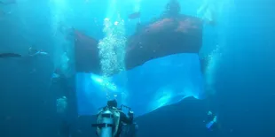 Aksi Pengibaran Bendera Merah Putih di Bawah Laut Berau Dipimpin oleh 'Shah Rukh Khan'