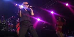 Album Baru, Pitbull Siap Bayar Jennifer Lopez dan Chris Brown