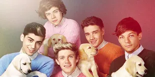 Anjing-Anjing Lucu Para Personil One Direction